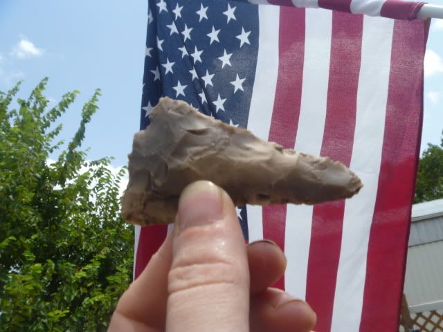 P1050175.jpg