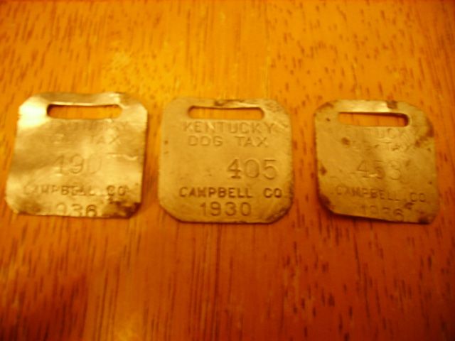 dogtaxtags.jpg