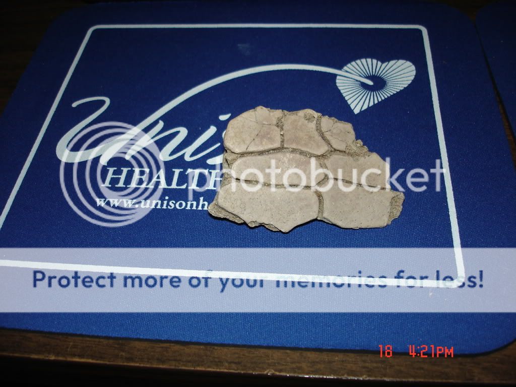 DSC00654.jpg