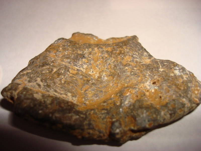 DSC00504.jpg