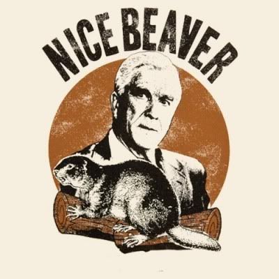 nice-beaver-2.jpg