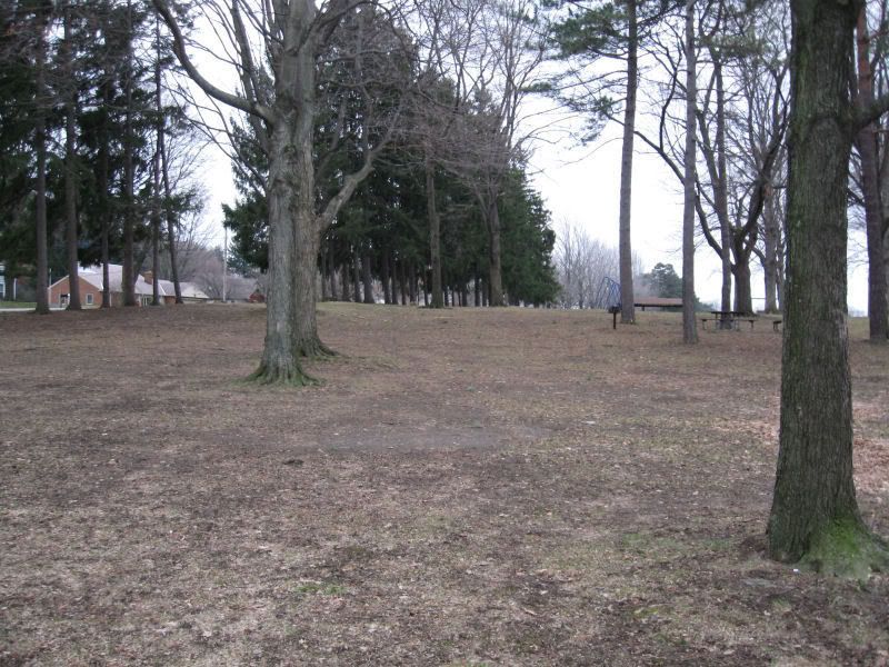 Feb13thpark.jpg