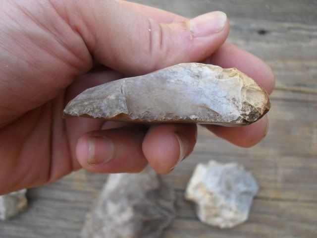 SDC10081.jpg