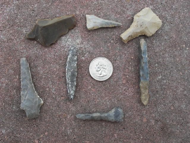 SDC11406.jpg