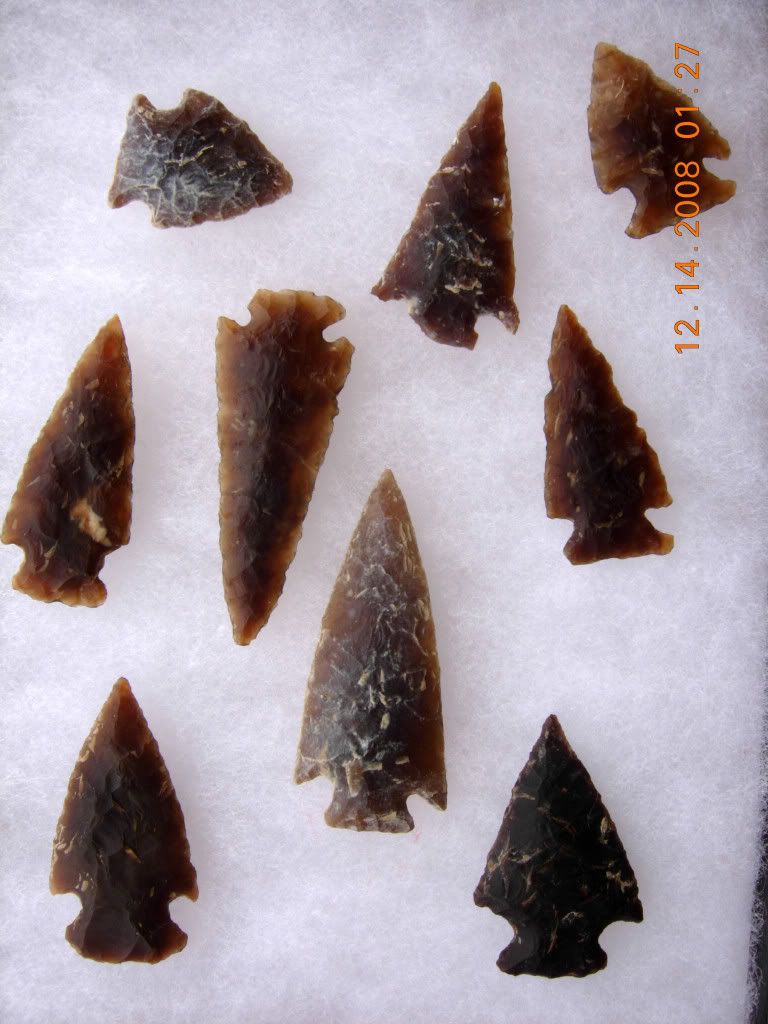 DSCN1313.jpg