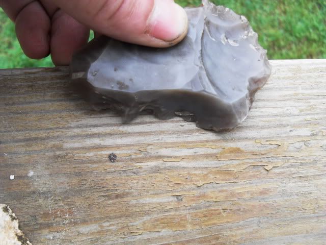 SDC11456.jpg