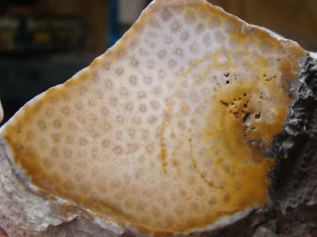 DSC03584.jpg
