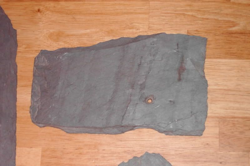 PDR_1135.jpg