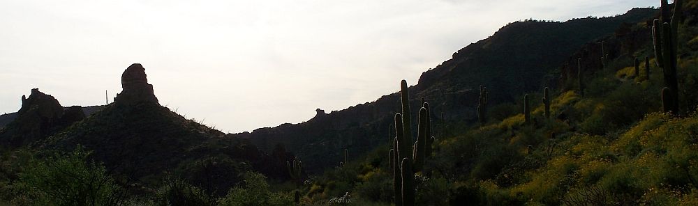 100_0538sm.jpg