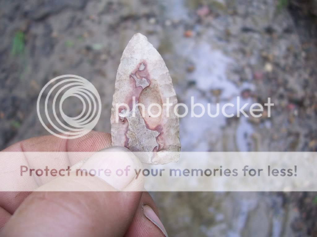 creekfinds010-1.jpg