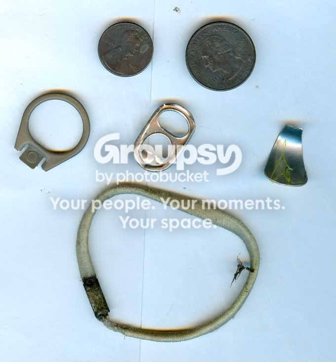 MoneynJunk073008.jpg
