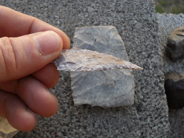 SDC10032.jpg