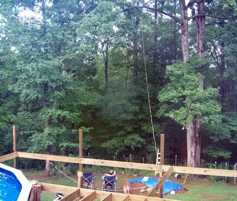 100_1398.jpg