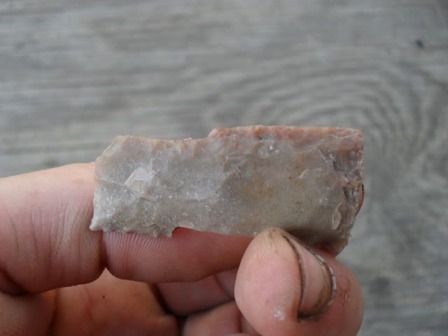 SDC10007-1.jpg