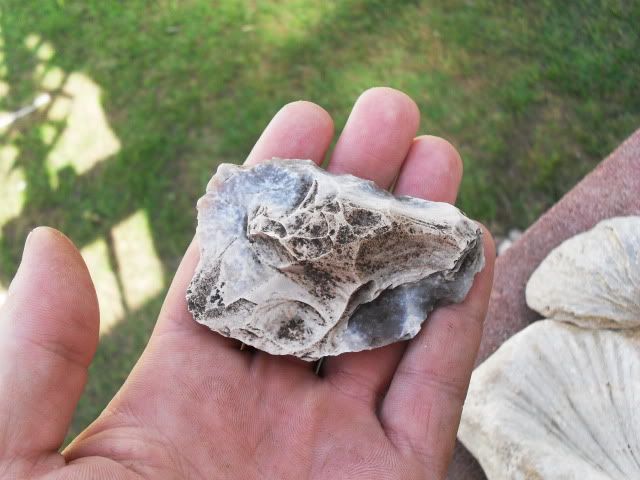 SDC11531.jpg