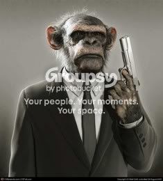 Monkey_Assassin_Email.jpg