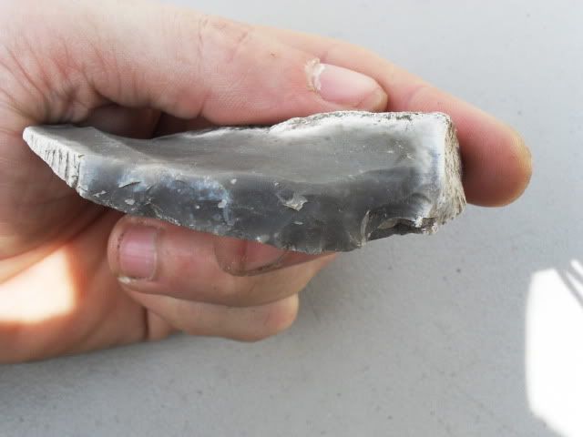SDC11371.jpg