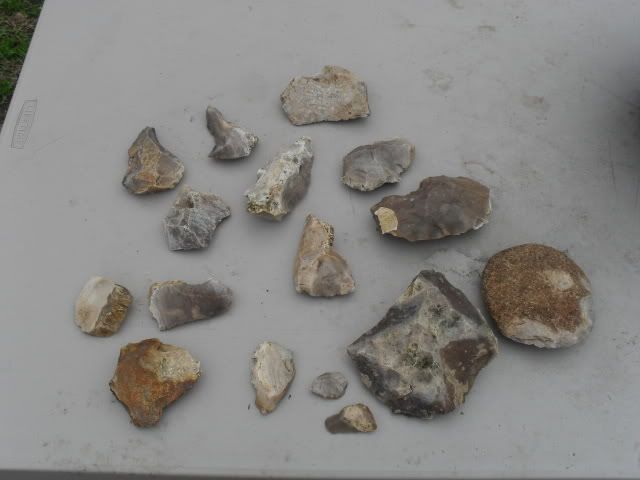 SDC10413.jpg