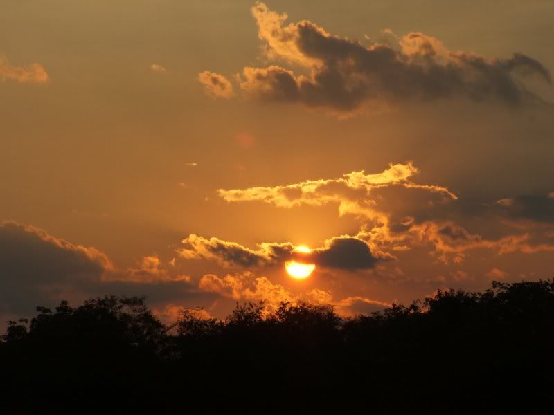 Dscf2676_800x600.jpg