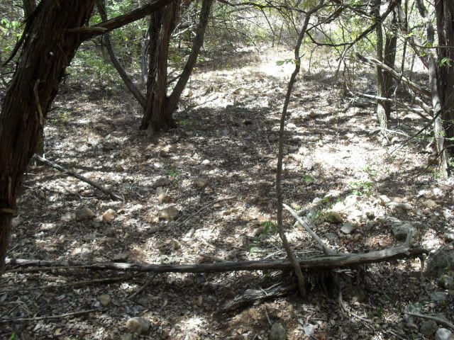 SDC10433.jpg
