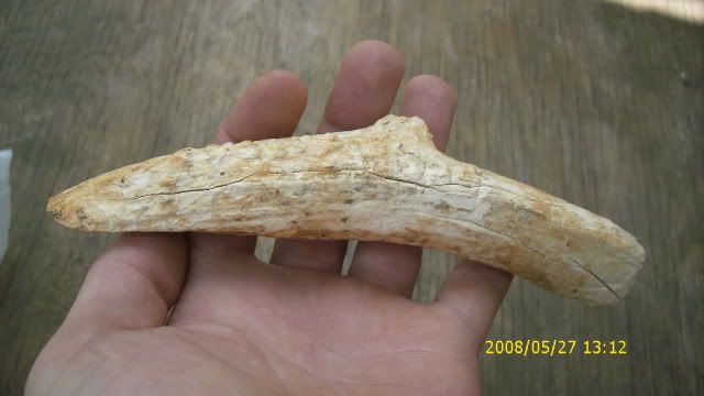 DSCI0882.jpg