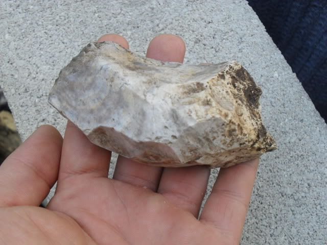 SDC10394.jpg