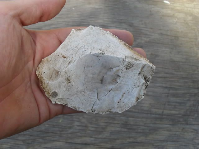 SDC10485.jpg