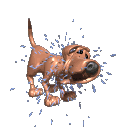 wet_dog.gif