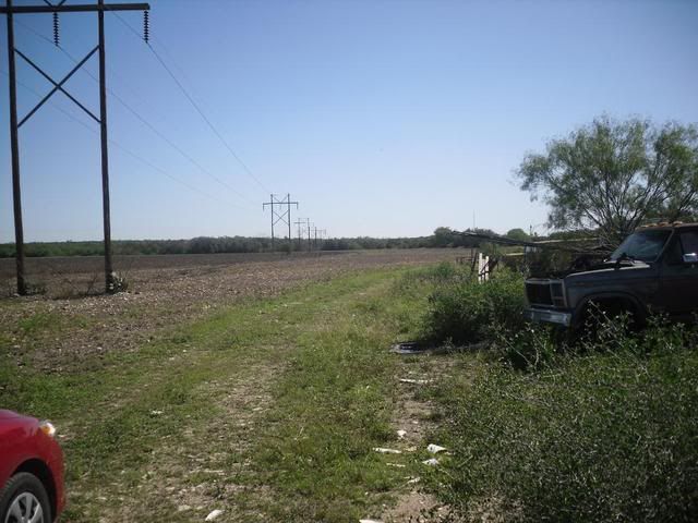 SDC10223.jpg