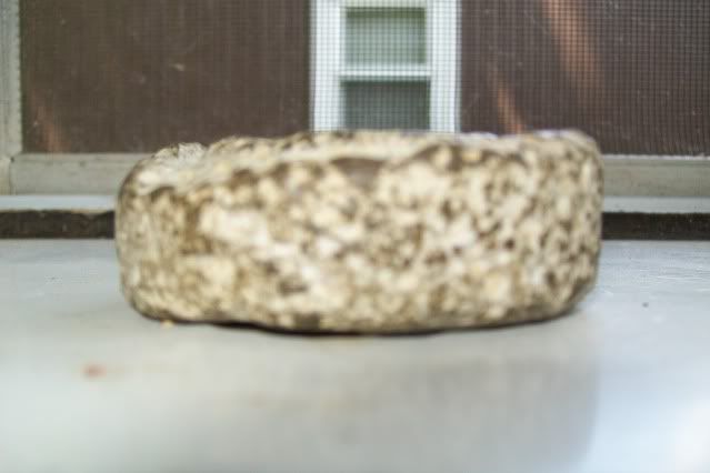 arrowheads002-4.jpg