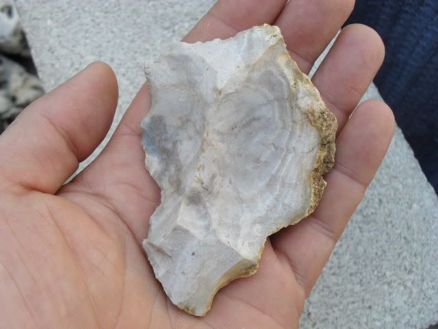 SDC10389.jpg
