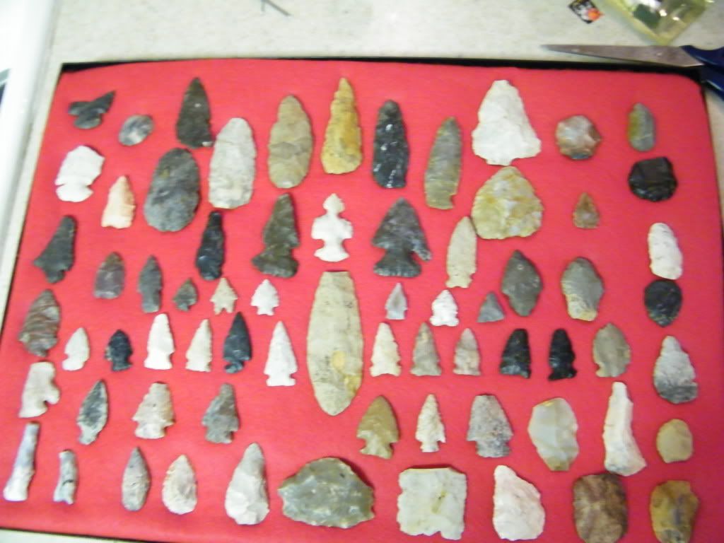 DSCF2698.jpg