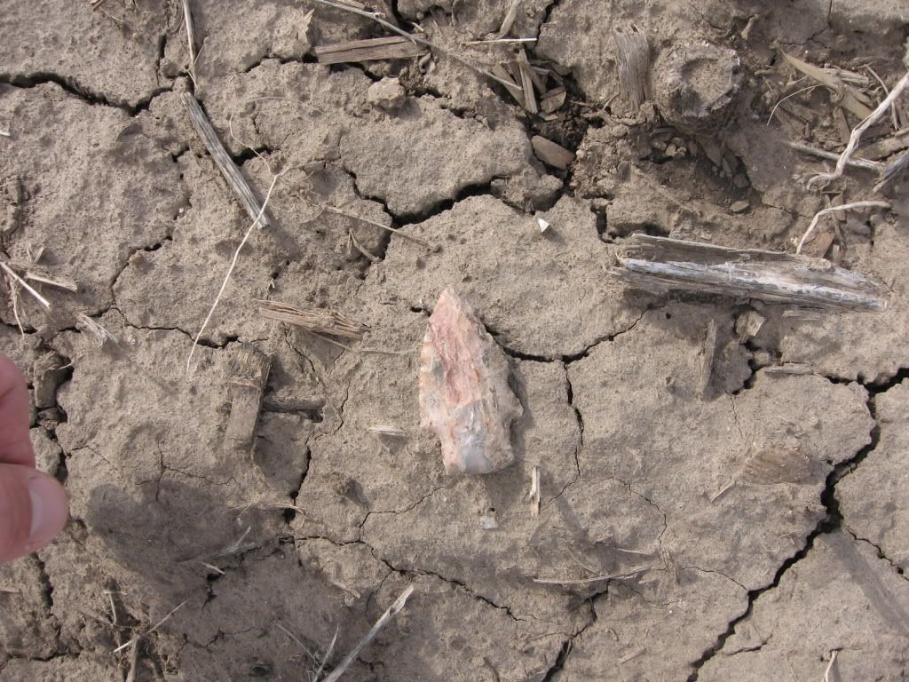 rrowheads3-24-2009002.jpg