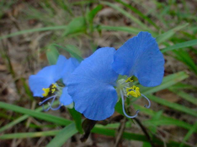 DSC00789.jpg