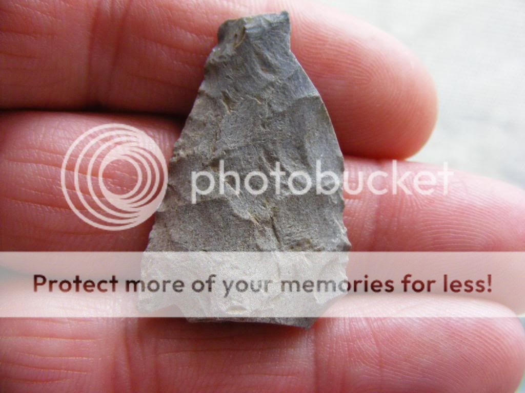 2009_0308BSL0004.jpg