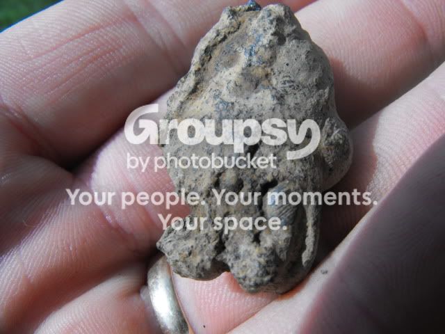 DSCF0385.jpg