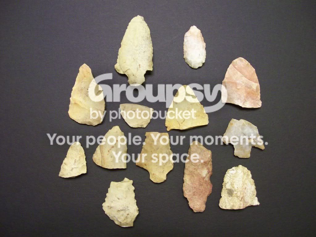 100_3523.jpg