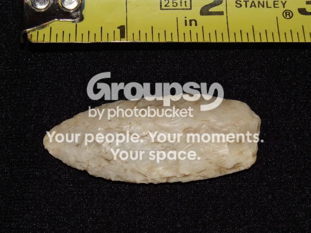 DSC00081.jpg