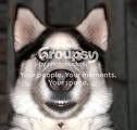 Copyofsuprisedog.jpg