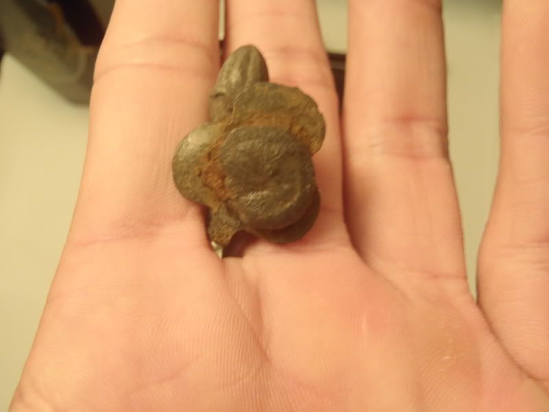 PA310255.jpg