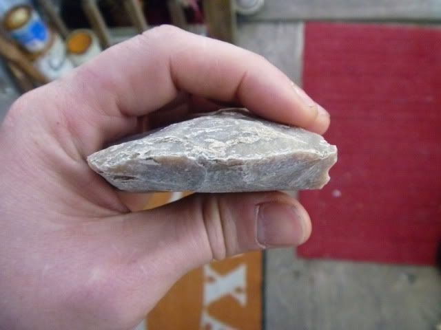 P1010501.jpg