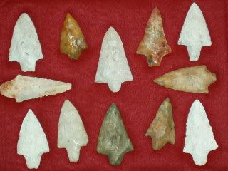 SANY0264.jpg