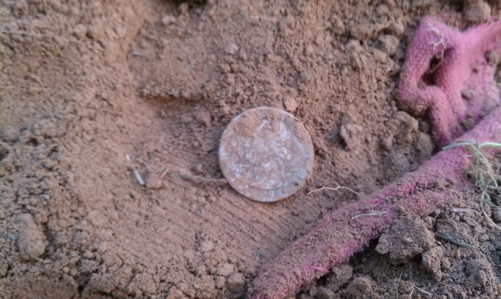 6SilverHunt3_zps7e555114.jpg