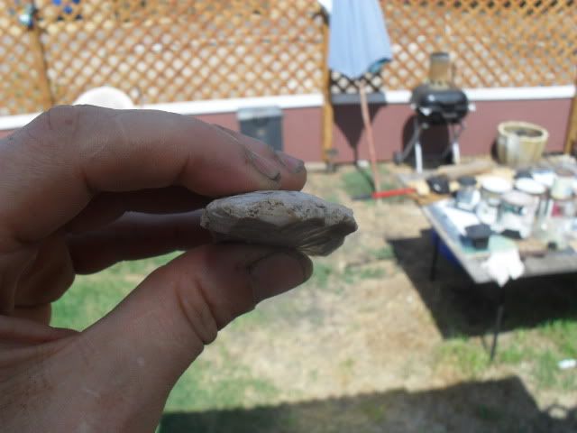 SDC10551.jpg