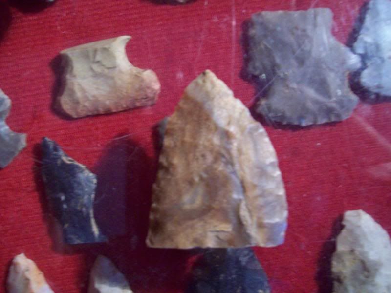 100_0260.jpg