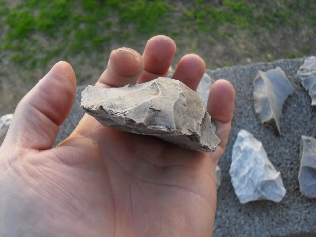 SDC10042.jpg