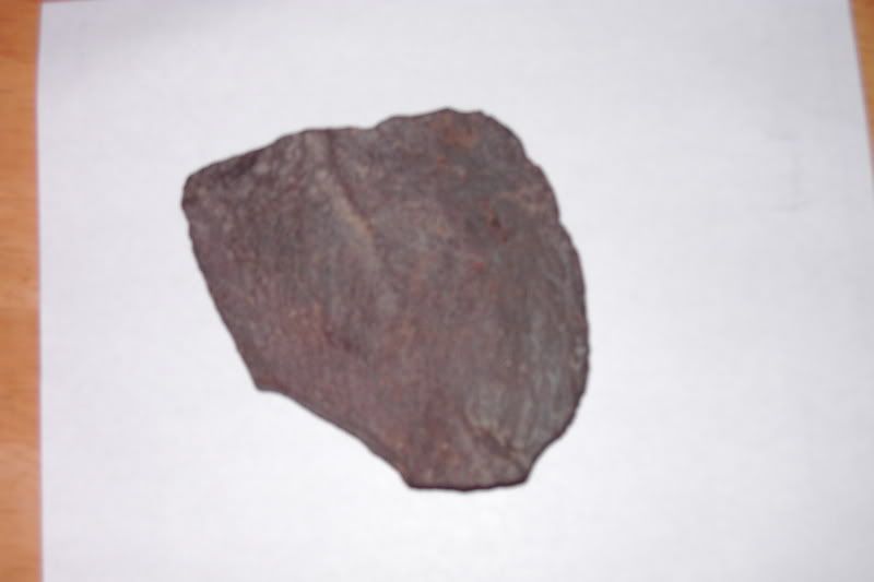 PDR_1279.jpg