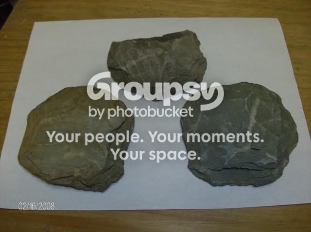 slatediscs.jpg