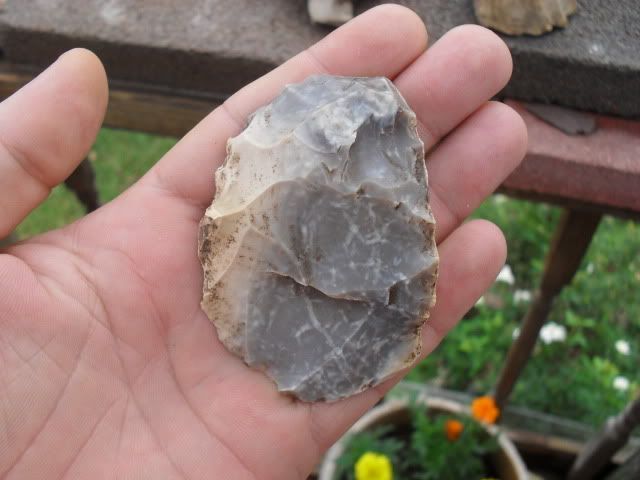 SDC10769.jpg