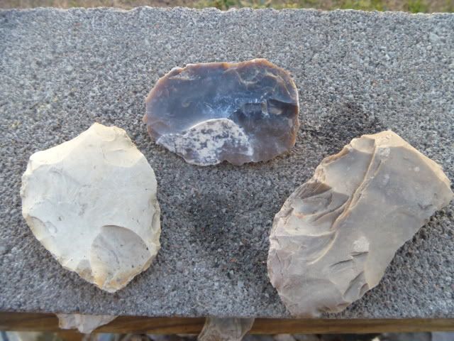 P1010186.jpg